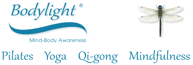 Bodylight Logo 