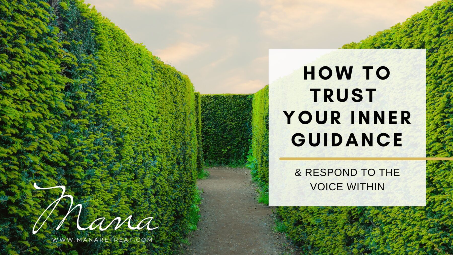 How to trust your inner guidance and respond to the voice within