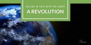 falling in love with the earth a loving revolution