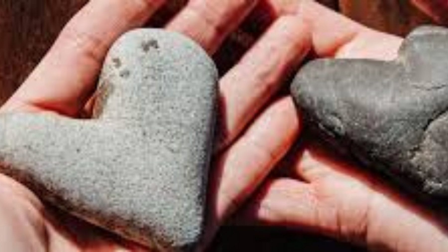 A hand holding a heart shaped rock.
