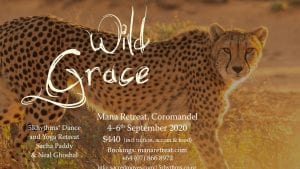 A promotional flier with a photo of a cheetah.